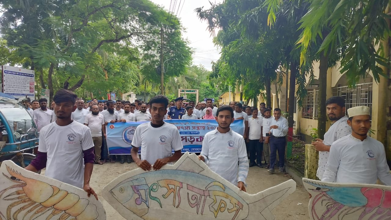 বোরহানউদ্দিনে জাতীয় মৎস্য সপ্তাহ উপলক্ষে র‌্যালী ও আলোচনা সভা অনুষ্ঠিত
