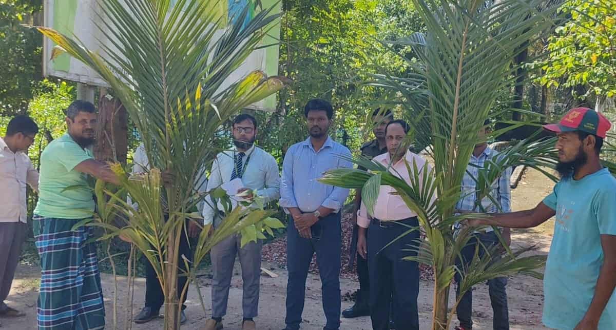জলবায়ু পরিবর্তনের ঝুঁকি কমাতে ঝালকাঠির কাঠালিয়ায় পুবালী ব্যাংকের বৃক্ষ রোপণ