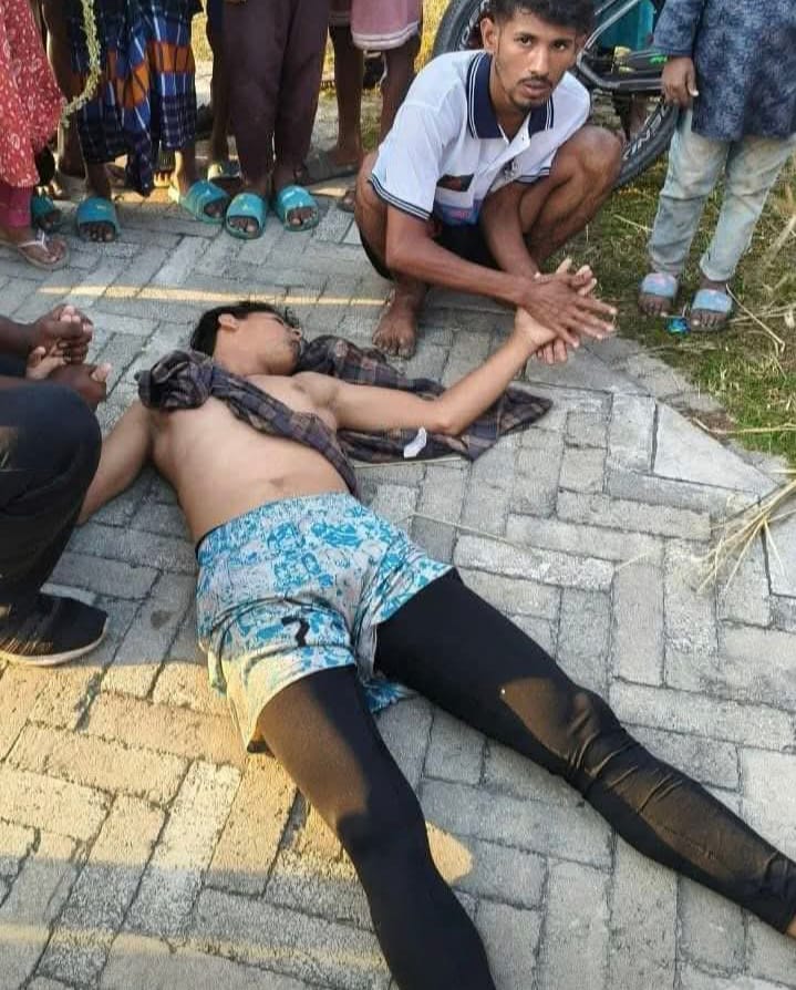 পদ্মার বুকে স্বপ্নের পদচিহ্ন; ভোলা জেলার  বাঁচার লড়াই- মোঃ মহিউদ্দিন