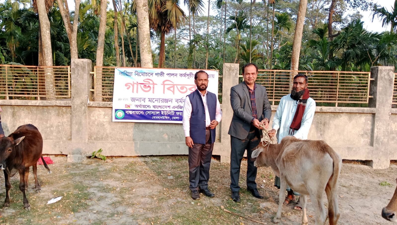 সানের উদ্যোগে বোরহানউদ্দিনে গাভী পেলেন অসহায় পরিবারগুলো