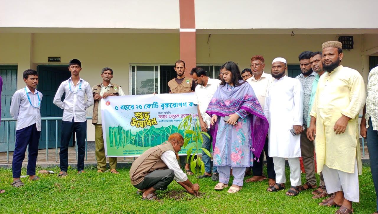 বামনায় বৃক্ষরোপণ কর্মসূচি পালিত হয়েছে ।।