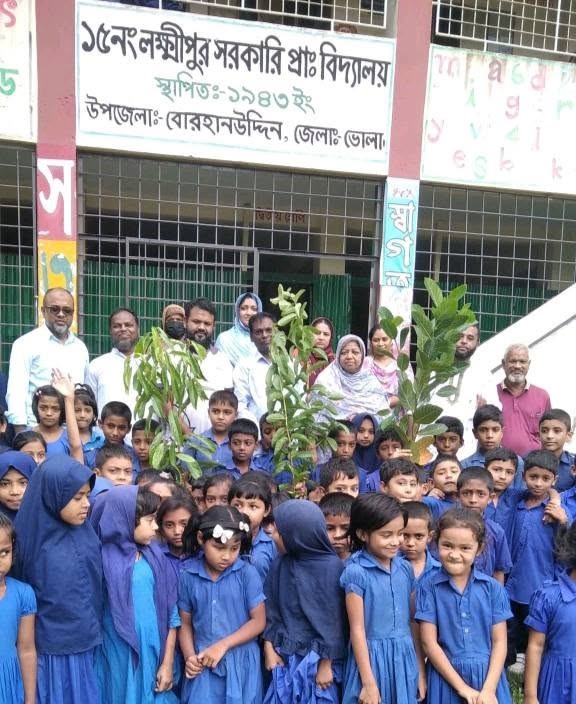 বোরহানউদ্দিন বিভিন্ন সরকারি প্রাথমিক বিদ্যালয়ে বৃক্ষরোপণ কর্মসূচি অনুষ্ঠিত