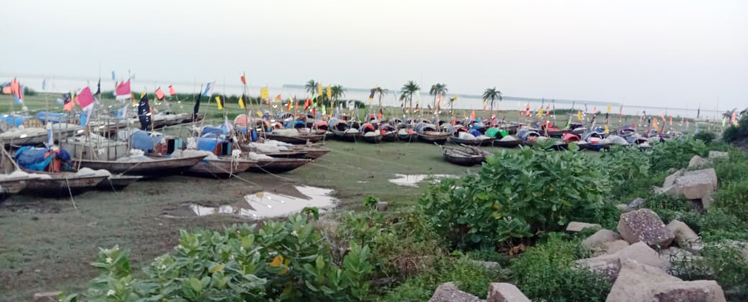 আজ জাতীয় মৎস্য সপ্তাহ  মেঘনা নদীতে ইলিশের আকাল, তজুমদ্দিনে অর্ধাহার-অনাহারে  জেলে পরিবার